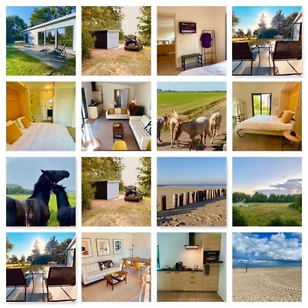 IJzendijke Natuurhuis Zeeuwse Rust Voor Wandelingen Aan Zee, Fietstochten In Natuur En Culinair Genieten 빌라 외부 사진