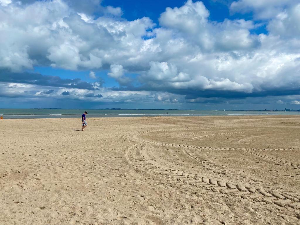 IJzendijke Natuurhuis Zeeuwse Rust Voor Wandelingen Aan Zee, Fietstochten In Natuur En Culinair Genieten 빌라 외부 사진