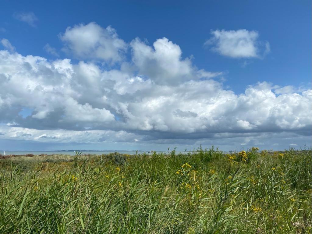 IJzendijke Natuurhuis Zeeuwse Rust Voor Wandelingen Aan Zee, Fietstochten In Natuur En Culinair Genieten 빌라 외부 사진