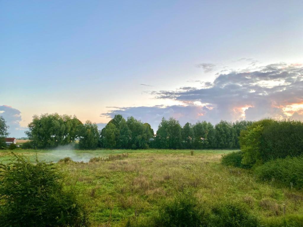 IJzendijke Natuurhuis Zeeuwse Rust Voor Wandelingen Aan Zee, Fietstochten In Natuur En Culinair Genieten 빌라 외부 사진
