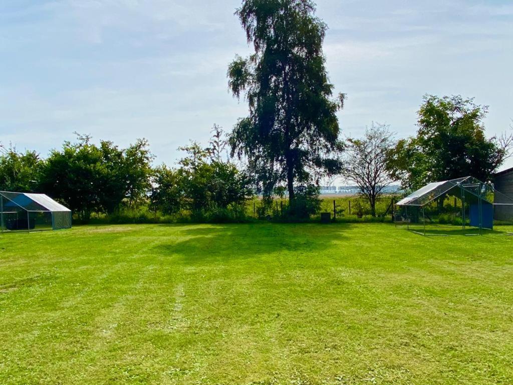 IJzendijke Natuurhuis Zeeuwse Rust Voor Wandelingen Aan Zee, Fietstochten In Natuur En Culinair Genieten 빌라 외부 사진