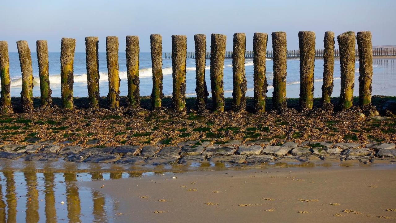 IJzendijke Natuurhuis Zeeuwse Rust Voor Wandelingen Aan Zee, Fietstochten In Natuur En Culinair Genieten 빌라 외부 사진